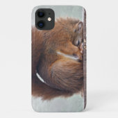 Lotus Squirrel iPhone 11 Hoesje (Achterkant)