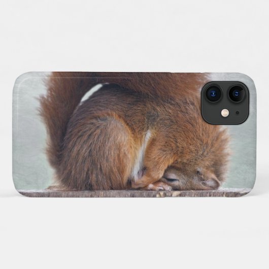 Lotus Squirrel iPhone 11 Hoesje (Achterkant (horizontaal))