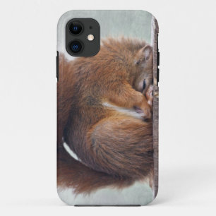Lotus Squirrel iPhone 5 Case-Mate Hoesje