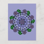 Lotus Star-Briefkaart Briefkaart (Voorkant)