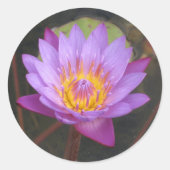 Lotus Stickers (Voorkant)