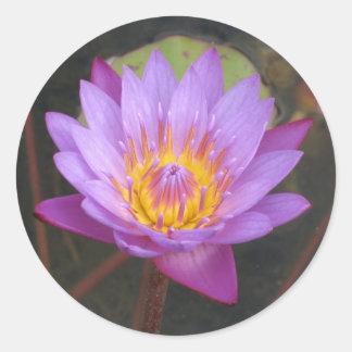 Lotus Stickers
