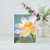Lotus "Suihiren" Briefkaart (Staand voorkant)