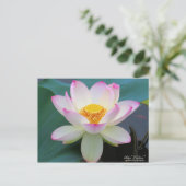 Lotus "Suihiren":Briefkaart Briefkaart (Staand voorkant)