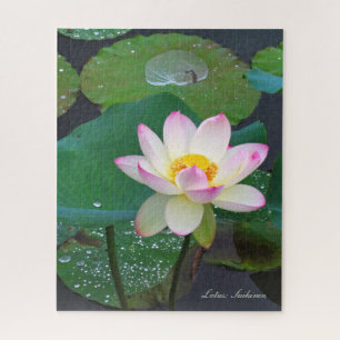 Lotus "Suihiren" [Legpuzzel: 520P] ジグソーパズル Legpuzzel