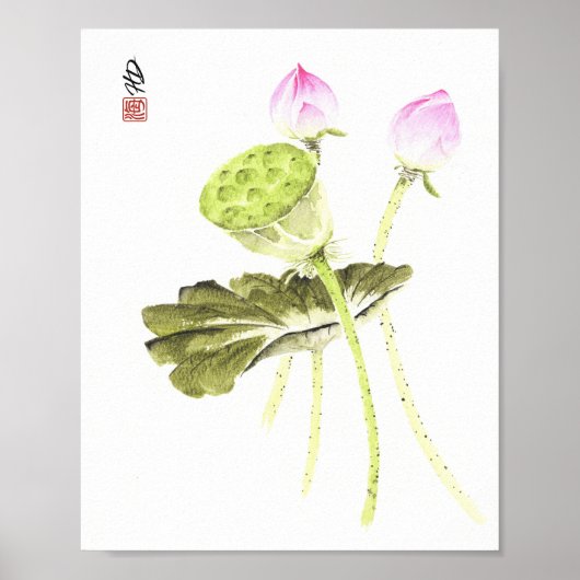 Lotus van stille dageraad poster (Voorkant)