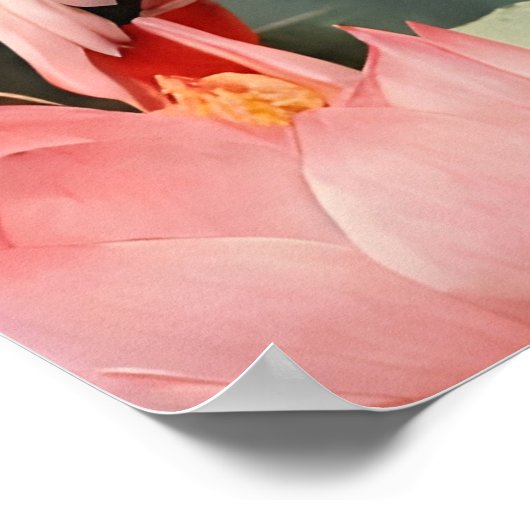 Lotus Vijver Roze Flamingo Poster (Hoek)