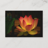 Lotus Visitekaartje (Achterkant)