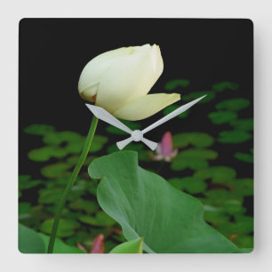 Lotus Water Lily Bud Vierkante Klok