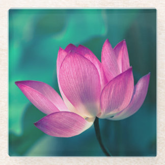 Lotus Water Lily Flower Glazen Onderzetter
