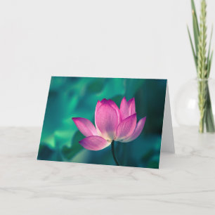 Lotus Water Lily Flower Kaart