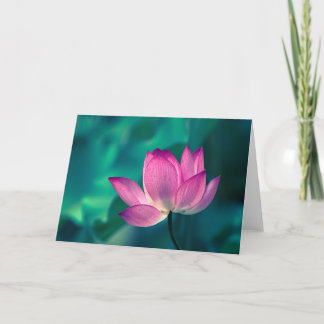 Lotus Water Lily Flower Kaart