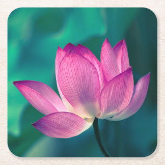 Lotus Water Lily Flower Kartonnen Onderzetters