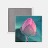 Lotus Water Lily Flower Magneet (Voorkant / Achterkant)