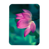 Lotus Water Lily Flower Magneet (Verticaal)