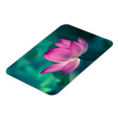 Lotus Water Lily Flower Magneet (Linkerzijde)