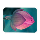 Lotus Water Lily Flower Magneet (Horizontaal)