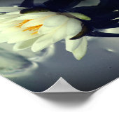 Lotus Water Lily Flower Mirror Abstracte kunst Poster (Hoek)
