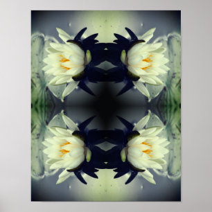 Lotus Water Lily Flower Mirror Abstracte kunst Poster