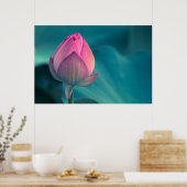 Lotus Water Lily Flower Poster (Keuken)