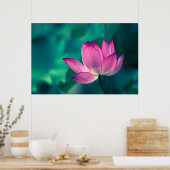 Lotus Water Lily Flower Poster (Keuken)