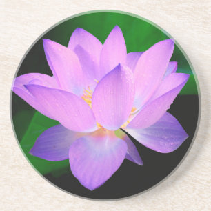 lotus water romantische date bruids- vrede hoop li zandsteen onderzetter