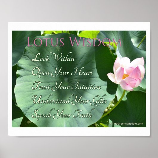 "Lotus Wisdom" Poster, 10 x 8" Poster (Voorkant)