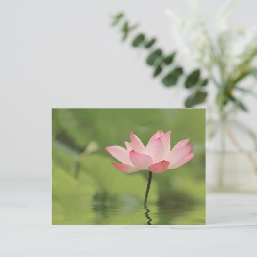 Lotus Zen Briefkaart (Staand voorkant)