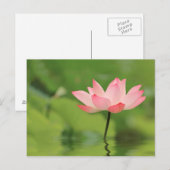Lotus Zen Briefkaart (Voorkant / Achterkant)