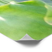 Lotus zomer, pastelroze waterplant poster (Hoek)