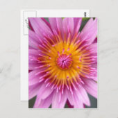 lotusbloem bloem briefkaart (Voorkant / Achterkant)