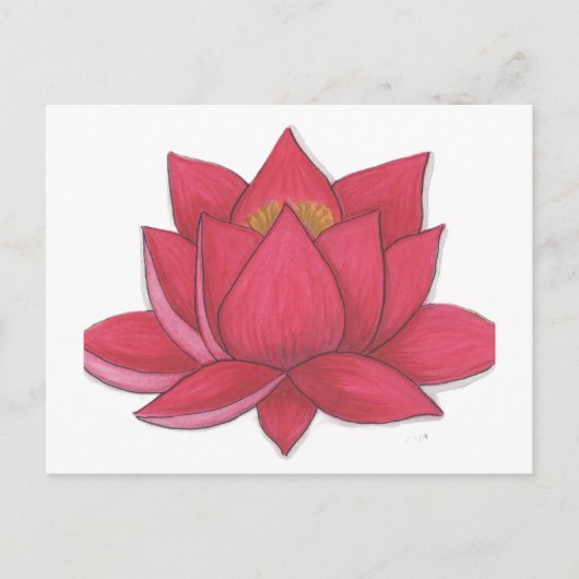 Lotusbloem Briefkaart (Voorkant)