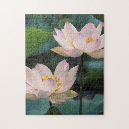 Lotusbloem in bloei, China Legpuzzel (Verticaal)