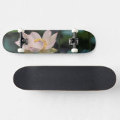 Lotusbloem in bloei, China Skateboard (Horizontaal)