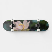 Lotusbloem in bloei, China Skateboard (Horizontaal)