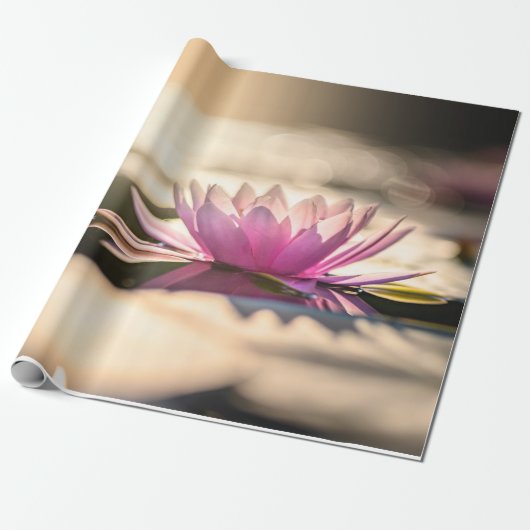 Lotusbloem, Meer, Zen Cadeaupapier (Uitgerold)