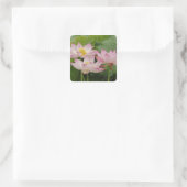 Lotusbloem, Nelumbo nucifera, China 2 Vierkante Sticker (Tas)