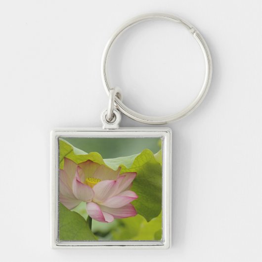 Lotusbloem, Nelumbo nucifera, China Sleutelhanger (Voorkant)