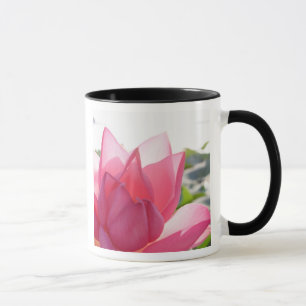Lotusbloem [Nelumbo speciosum] in volle bloei Mok