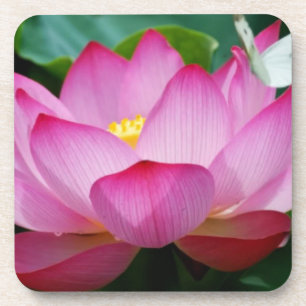 Lotusbloem & vlinder Plastic onderzetters