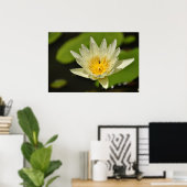 Lotusbloem (Waterlelie) Poster (Thuiskantoor)
