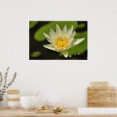 Lotusbloem (Waterlelie) Poster (Keuken)