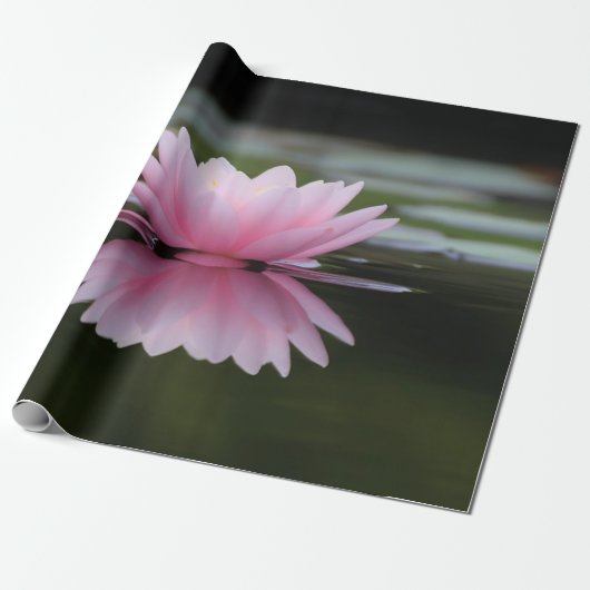 Lotusbloem, Zen Cadeaupapier (Uitgerold)