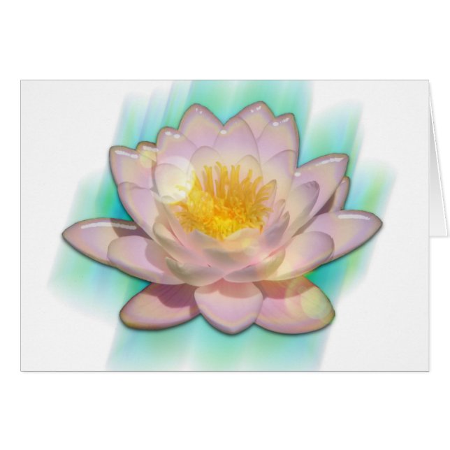 Lotusbloom (Voorkant Horizontaal)