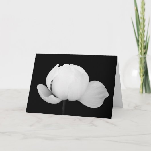 Lotusknop Kaart (Voorkant)