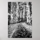 Loud Whisper Poster (Voorkant)