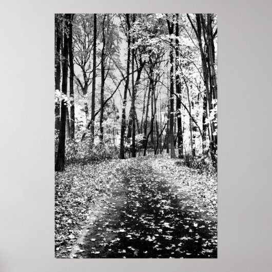 Loud Whisper Poster (Voorkant)