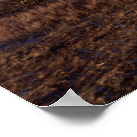 Loughrigg Fell Ambleside Briefkaart Cushion Poster (Hoek)