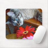 Louie Cat's ventilator Bliss Mousepad Muismat (Met muis)