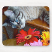 Louie Cat's ventilator Bliss Mousepad Muismat (Voorkant)